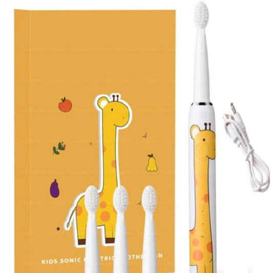 Electric Toothbrush with USB Charging & 3 Replacement Brush Heads