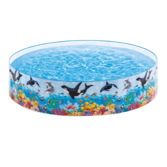 Coral Reef Pool